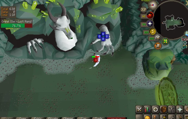 Chambers of Xeric: the Great Olm